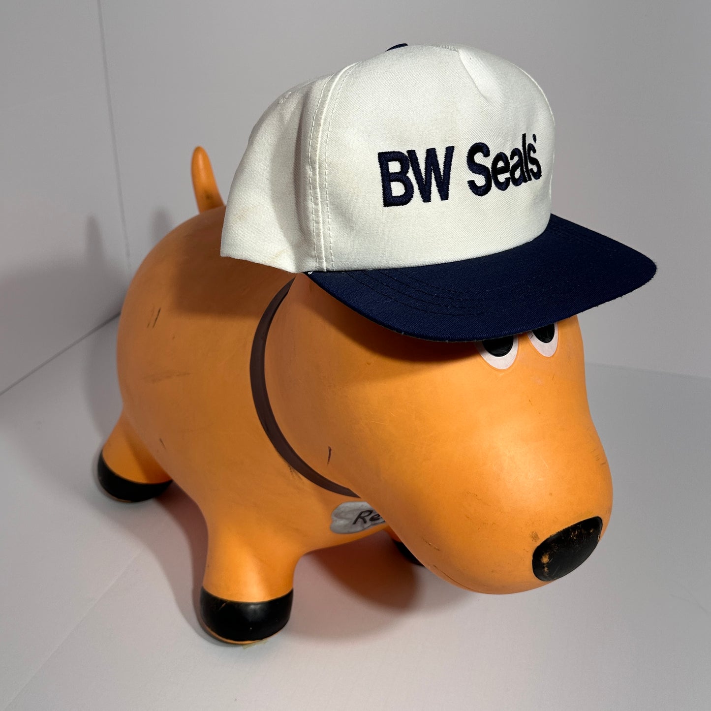 Vintage BW Seals Snapback
