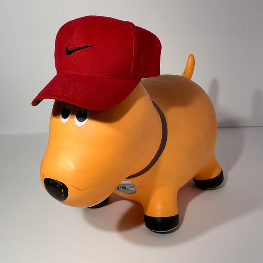 Vintage Nike Snapback Hat
