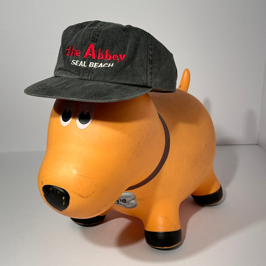 Vintage The Abbey Snapback Hat