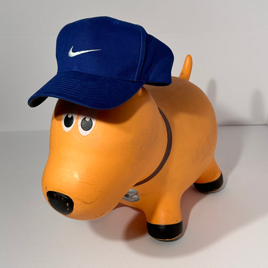 Vintage Nike Snapback Hat