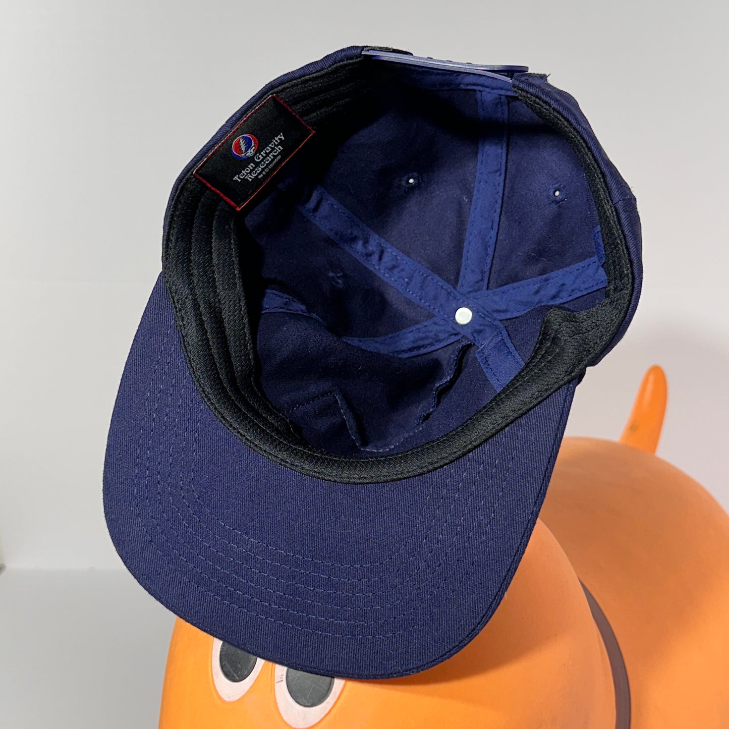 Vintage Teton Gravity Research X Grateful Dead Snapback Hat