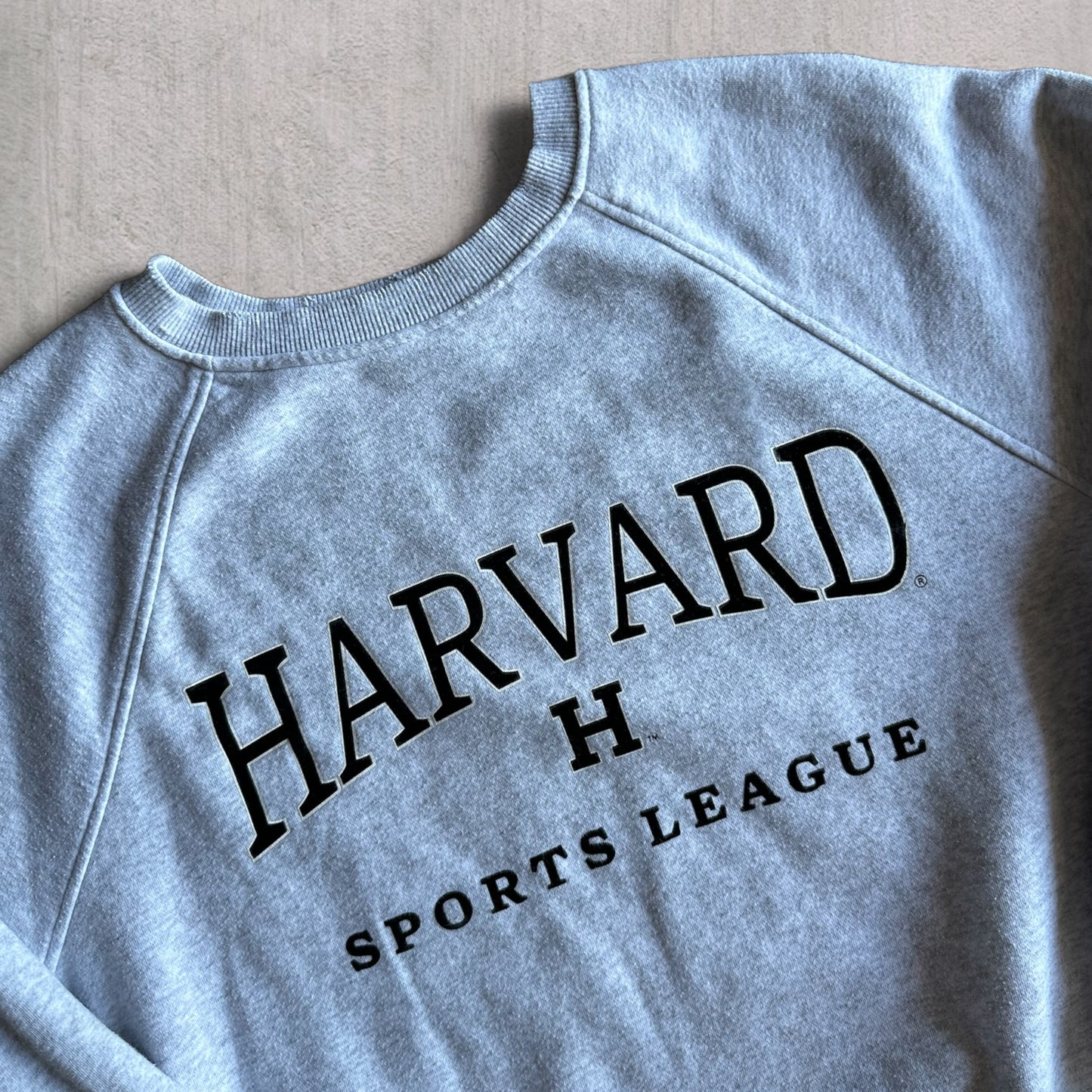 Vintage Harvard Sports Crewneck - L